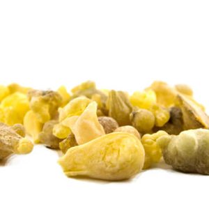 Boswellia sacra