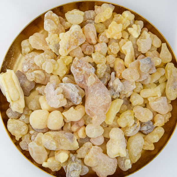 Weihrauch Boswellia sacara